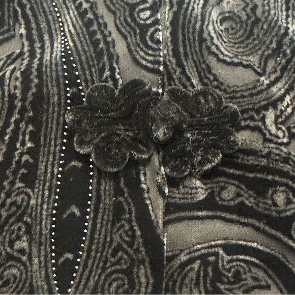 NWT ATOC Touch of Classs Small Velvet Silk Goth Devore Art-Wear Shirt Jacket Top - Picture 4 of 8